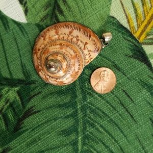 Jewelry - Shell Pendant Jewelry - Shell Pendant